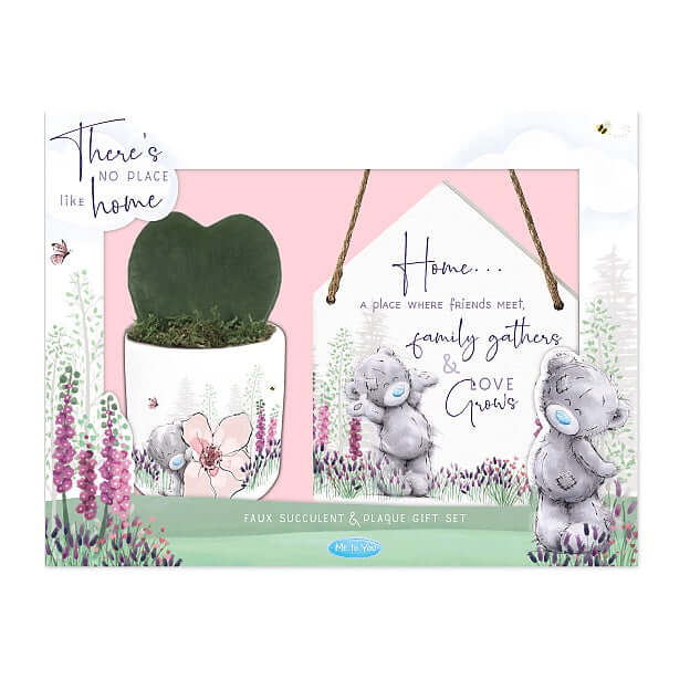 Me To You - Faux Succulent and Plaque Giftset Carte Blanche