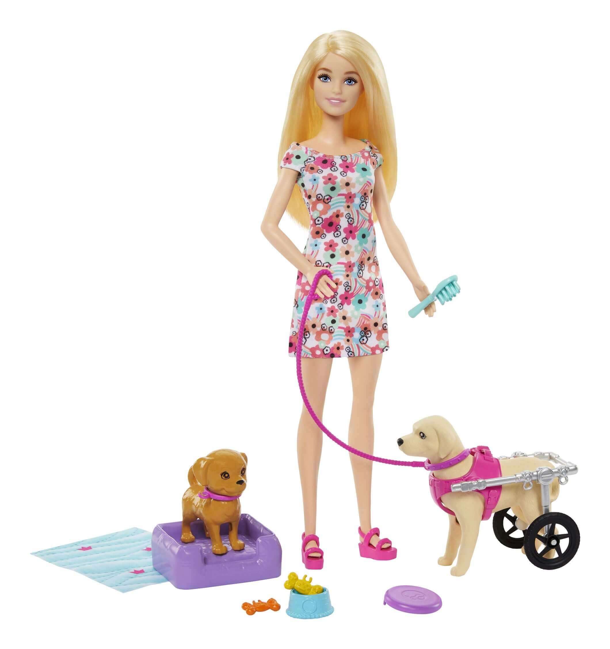 🐕 Barbie Walk and Wheel Pet Playset: Dog with Wheelchair & 10 Accessories!