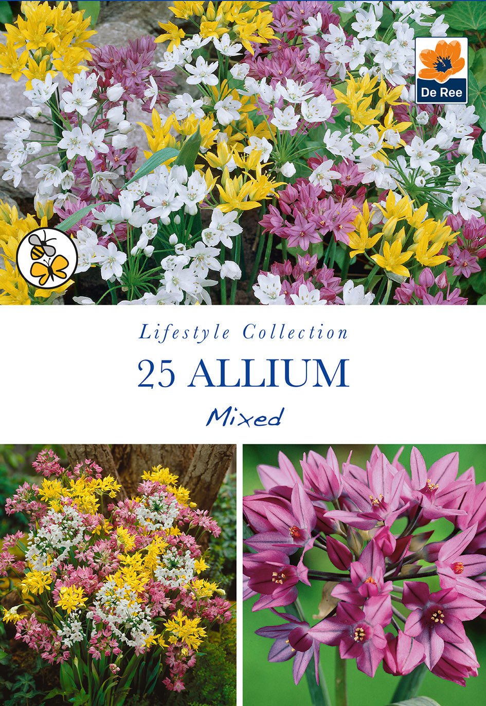 Allium Mixed Bulbs purple spherical flowers