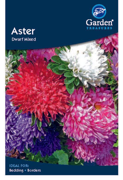 Aster Dwarf Mixed flower seeds packet