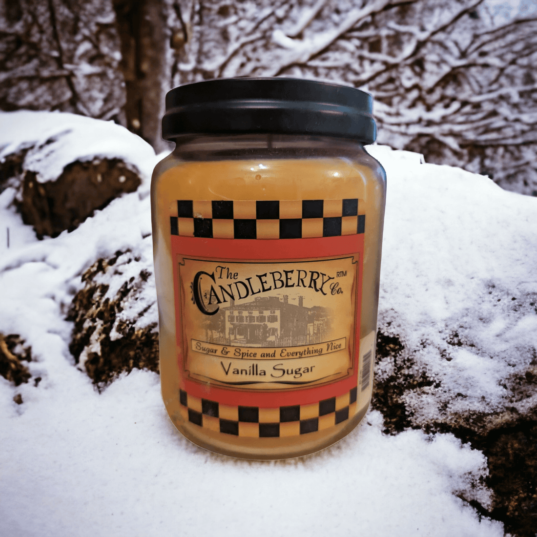 Candleberry Large Jar Candles: Premium American-Made Home Fragrance Collection