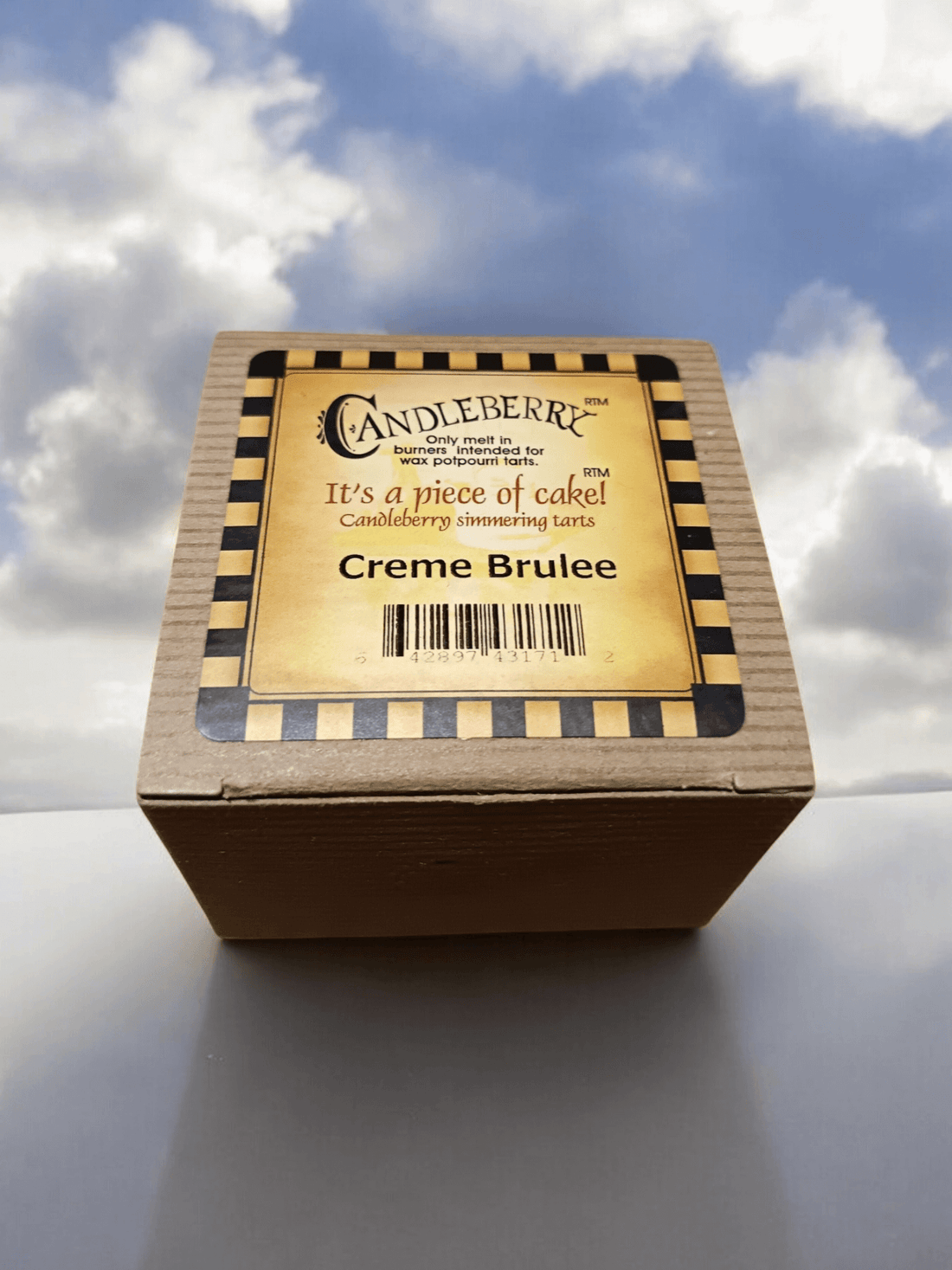 🍯 Premium Candleberry Wax Melts - American-Made Flameless Luxury! ✨