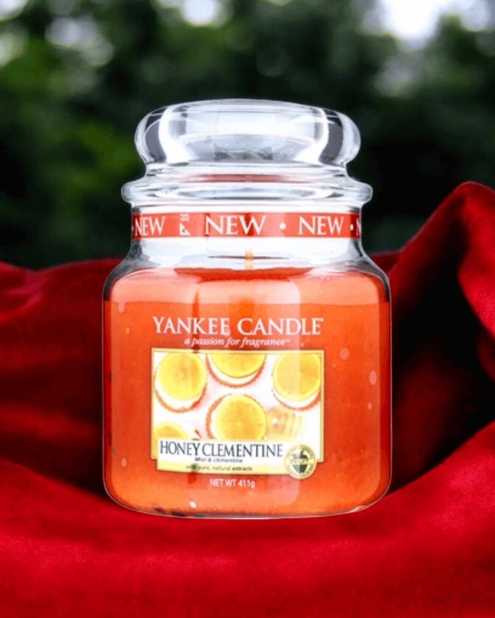 Yankee Candle Honey Clementine Medium Jar citrus scented candle