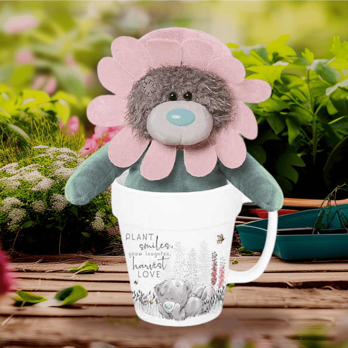 Me To You Bears plush and gifts