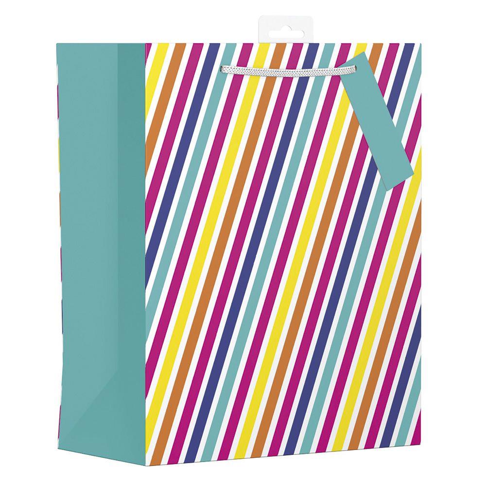Large Gift Bag with Rainbow Stripes Design (W265 x H330 x D140 mm) Curious Minds