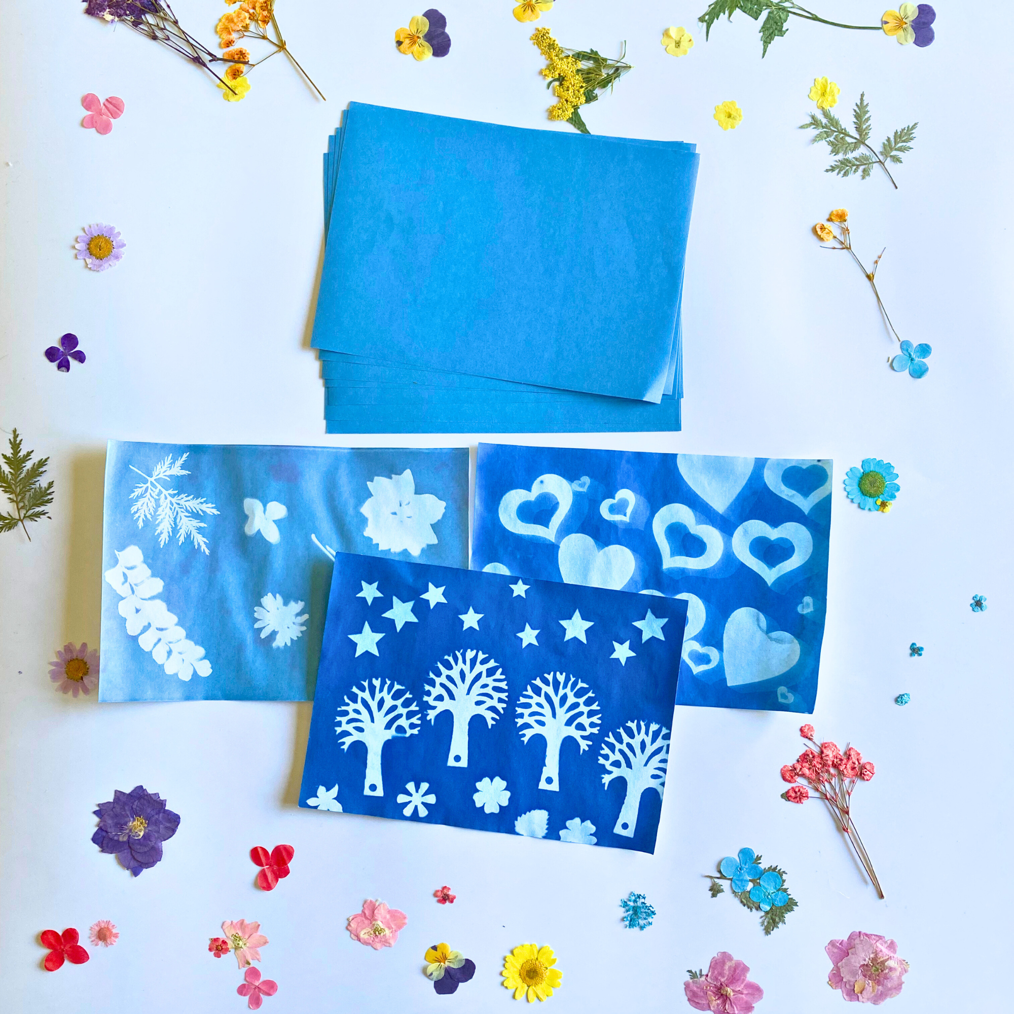Curious Minds Sun Print Paper Kit, 10 Sheet Pack of Cyanotype Paper, 18x13 cm Sheets Curious Minds
