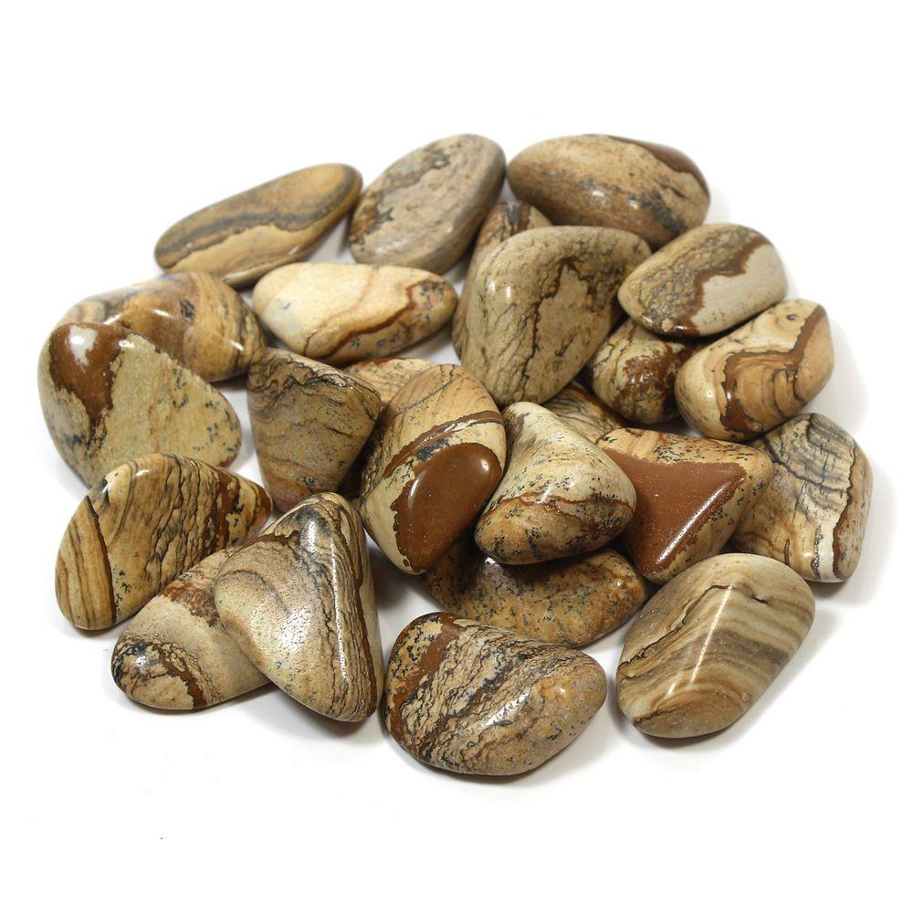 Landscape Jasper Polished Collectible Precious Stone Curious Minds