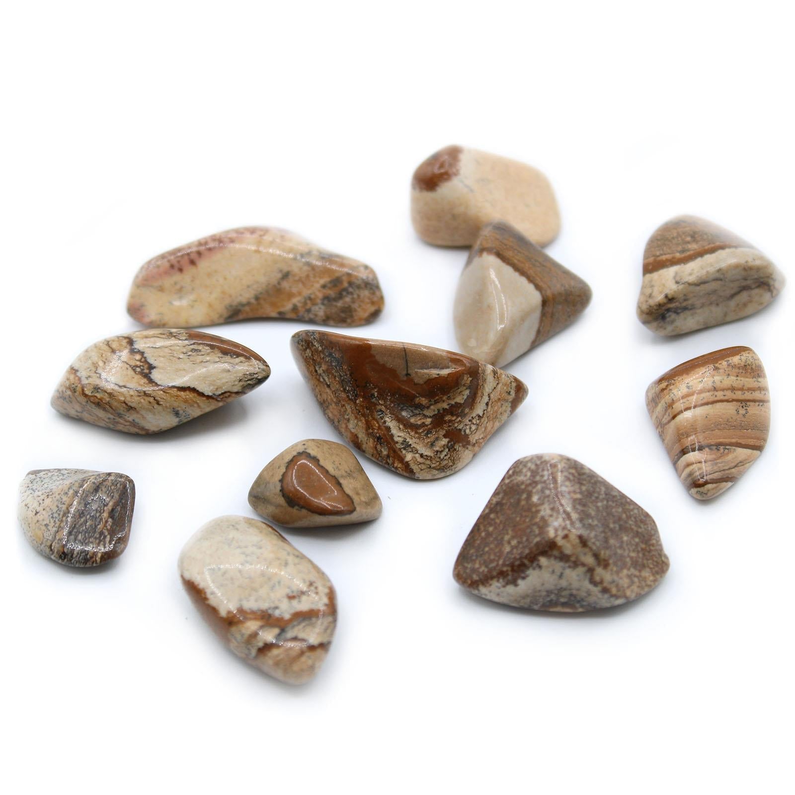 Large Tumble Stones - Kalahari Desert Stone Curious Minds