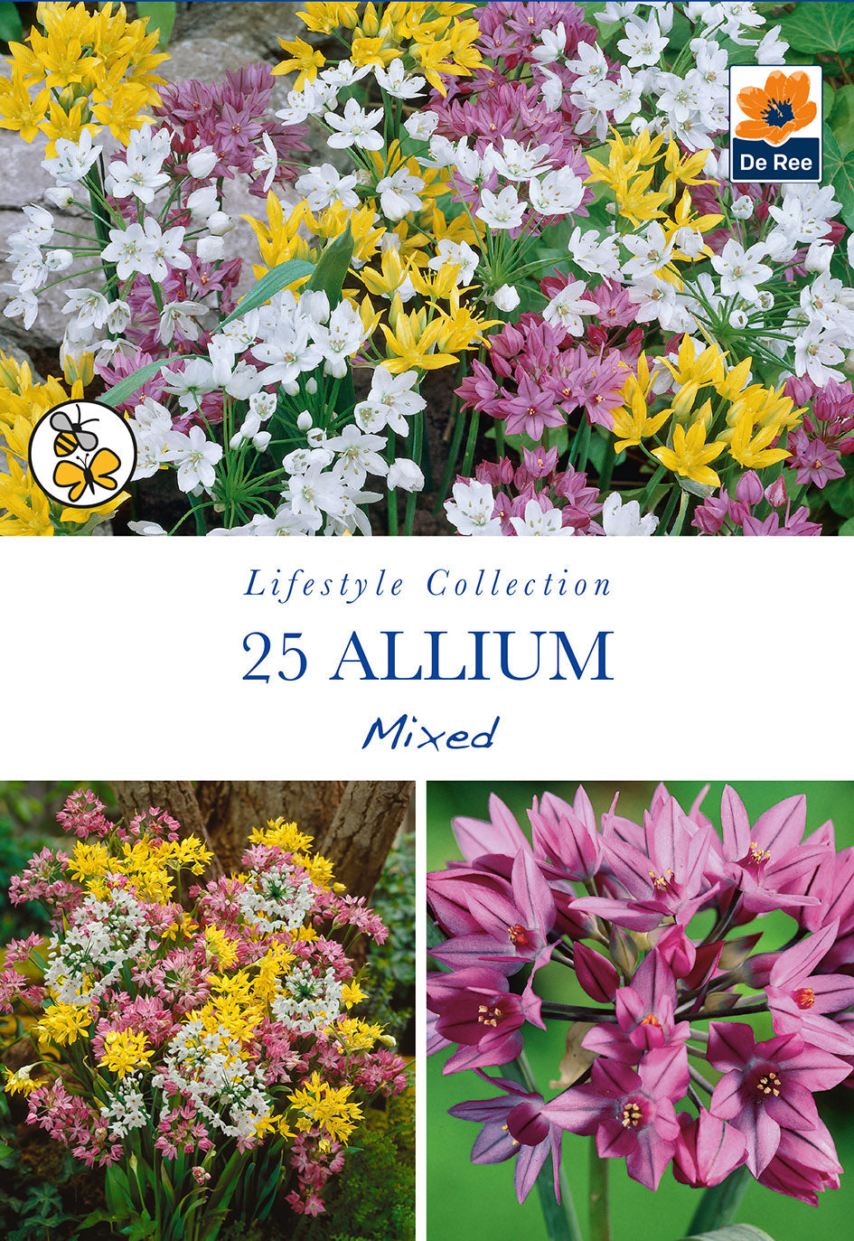 Allium Mixed Bulbs (25 Bulbs) One Click Plants