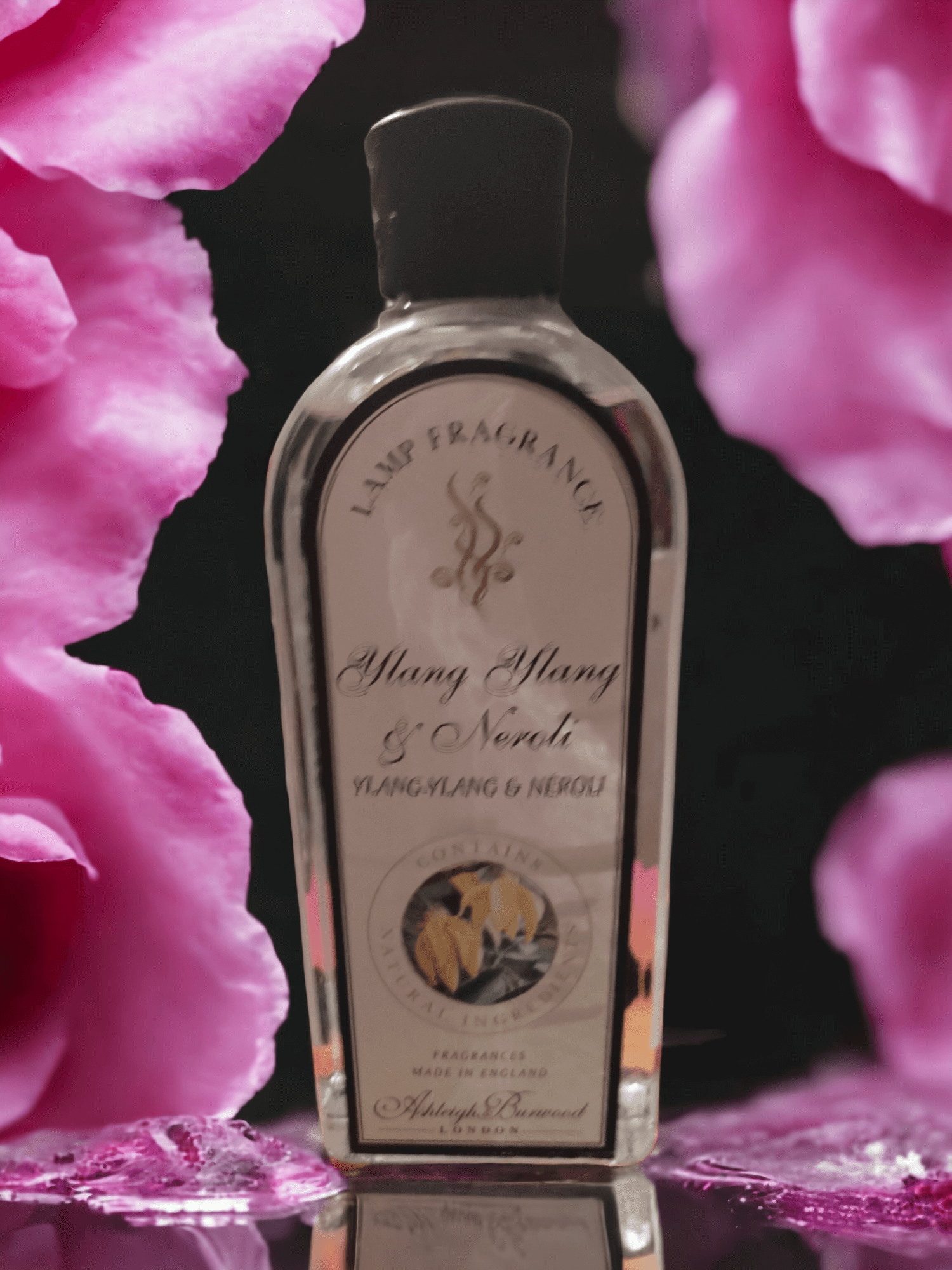 Ashleigh & Burwood London The Jewel Sweet Amber & Neroli Ricarica Per Lampada Catalitica 240320 Ashleigh & Burwood London The Jewel Sweet Amber & Neroli Ricarica Per Lampada Catalitica 240320