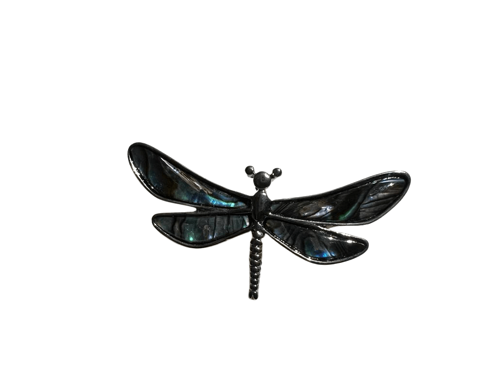 Byzantium Collection Jewellery - Paua Shell Brooch Dragonfly The Imagination Shop