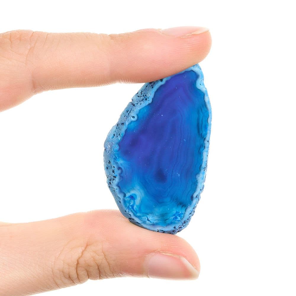 Agate Slice Available in Assorted Vibrant Colours Collectable (Single) Curious Minds