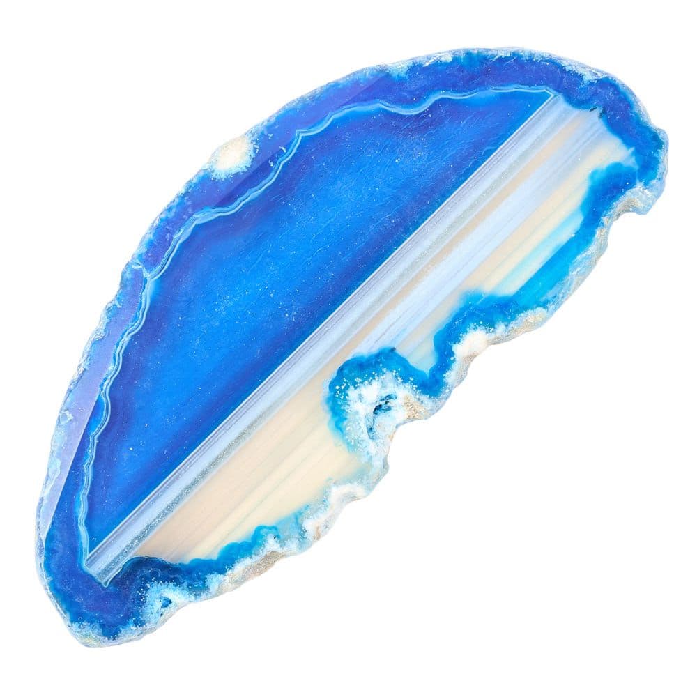 Agate Slice Available in Assorted Vibrant Colours Collectable (Single) Curious Minds
