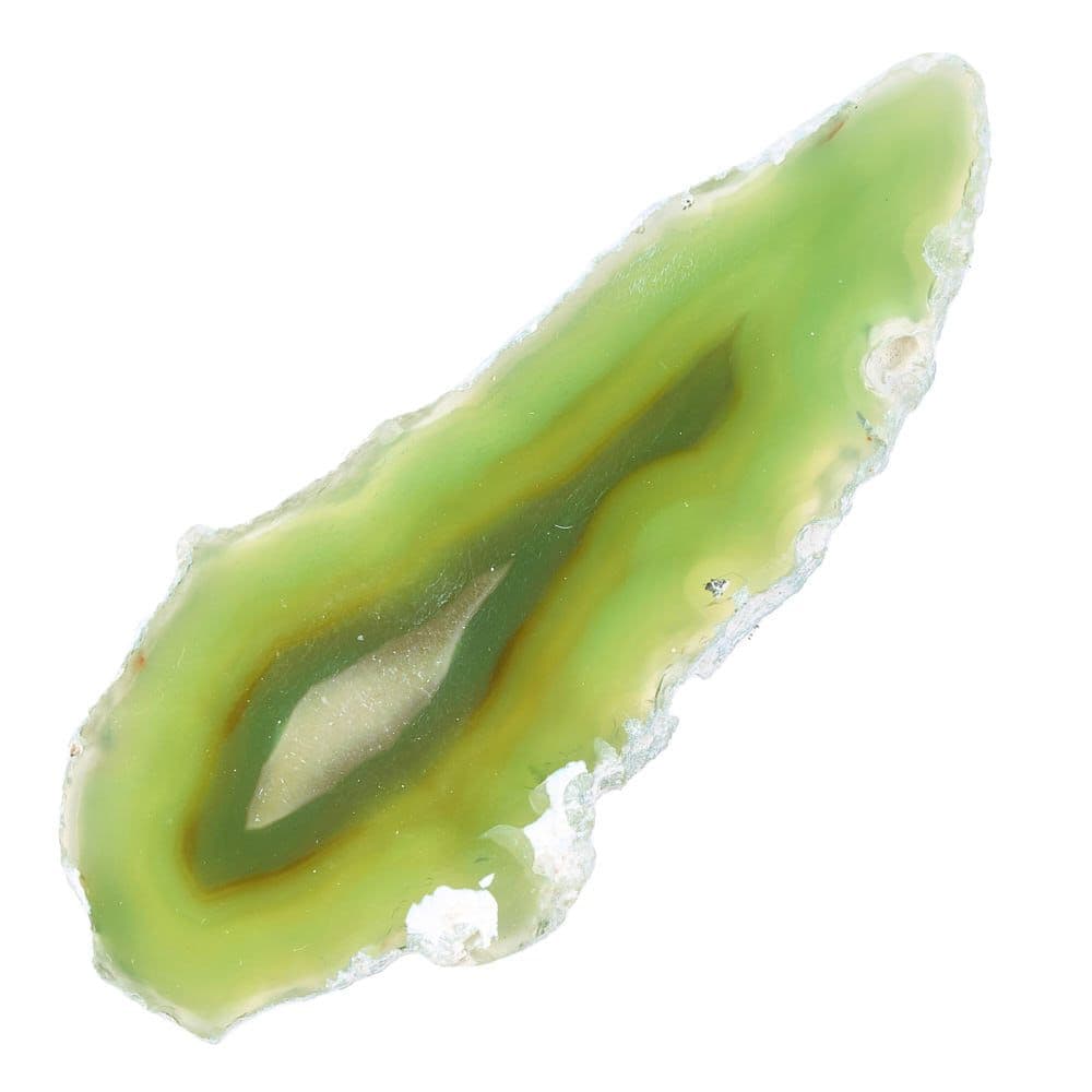 Agate Slice Available in Assorted Vibrant Colours Collectable (Single) Curious Minds