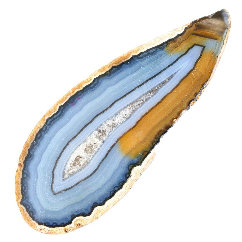Agate Slice Available in Assorted Vibrant Colours Collectable (Single) Curious Minds