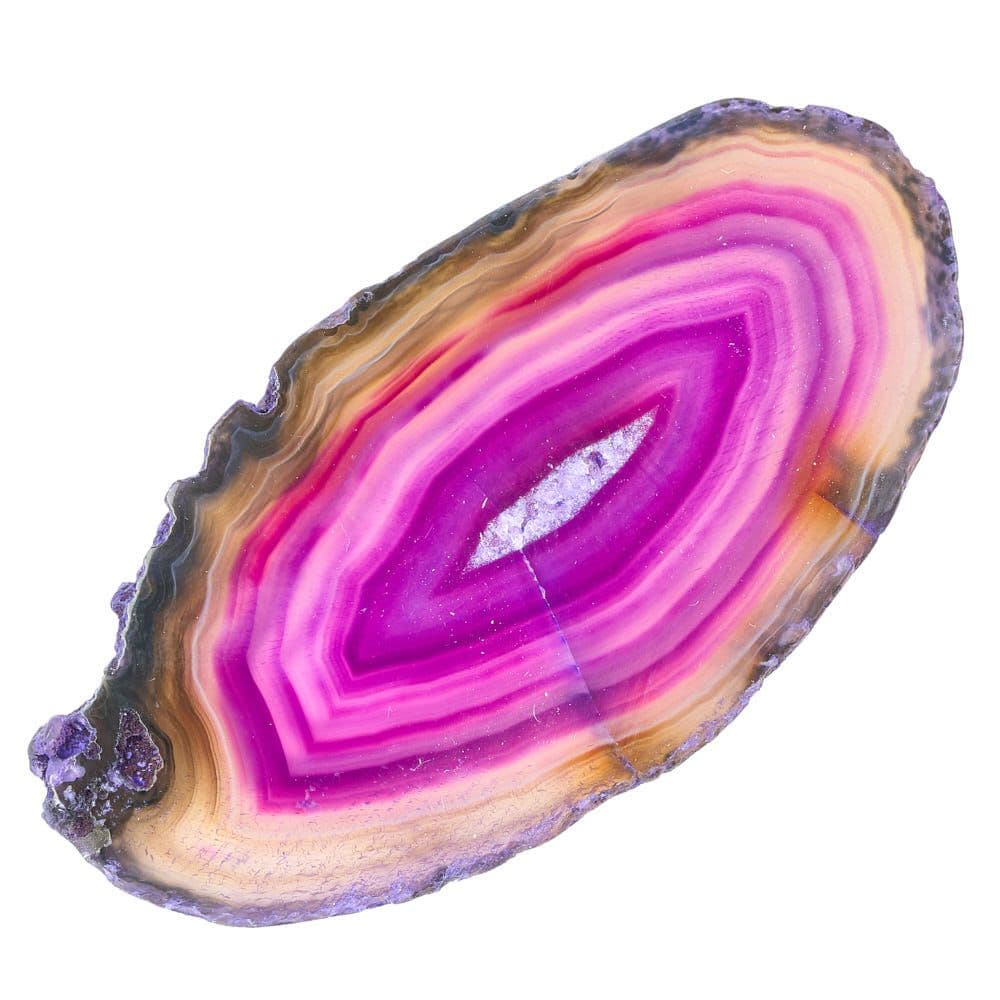 Agate Slice Available in Assorted Vibrant Colours Collectable (Single) Curious Minds