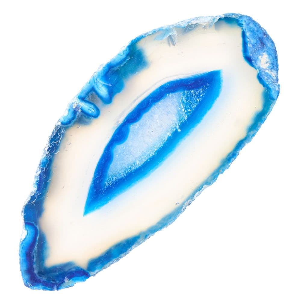 Agate Slice Available in Assorted Vibrant Colours Collectable (Single) Curious Minds
