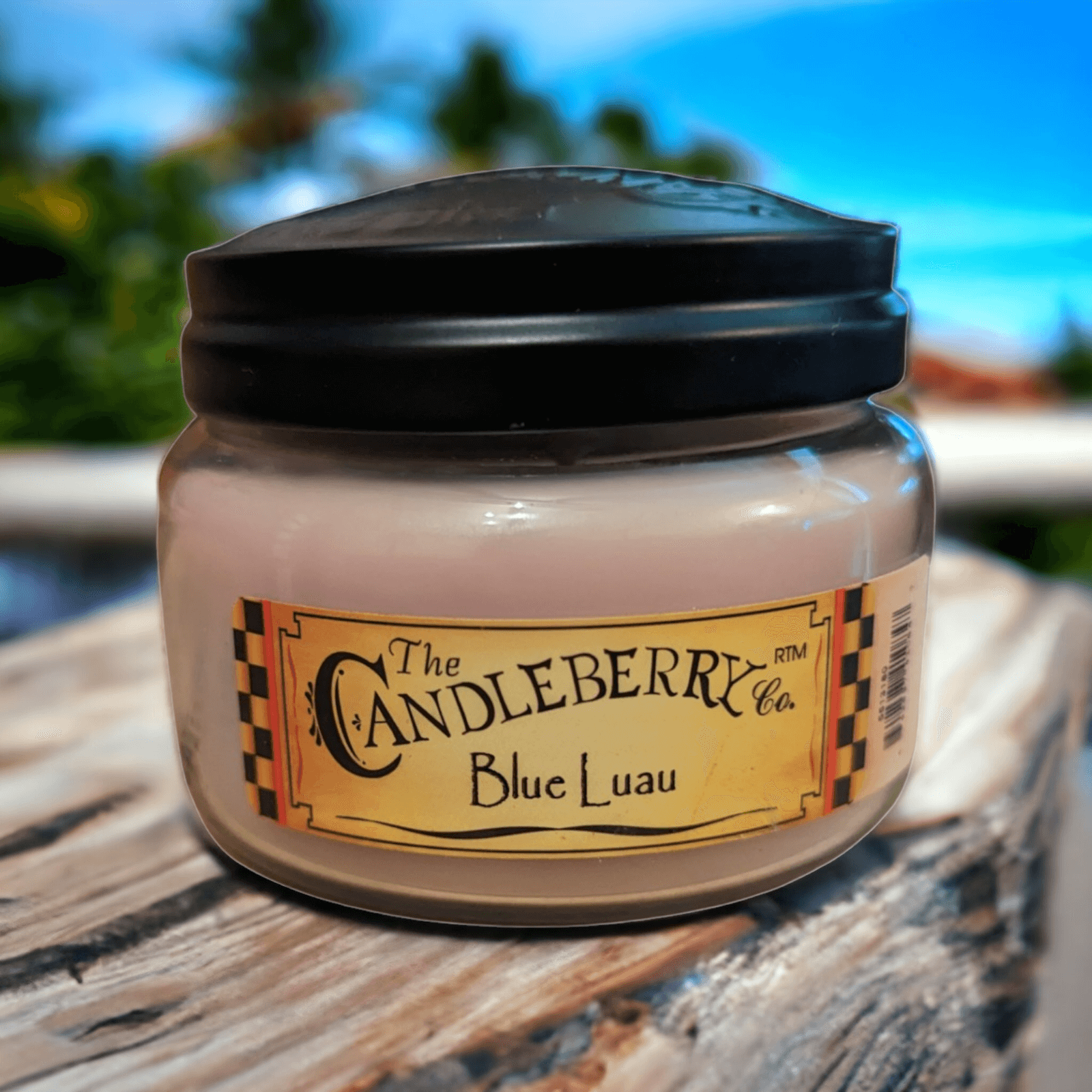 The Candleberry Co - Blue Luau Small Jar Scented Candle Candleberry