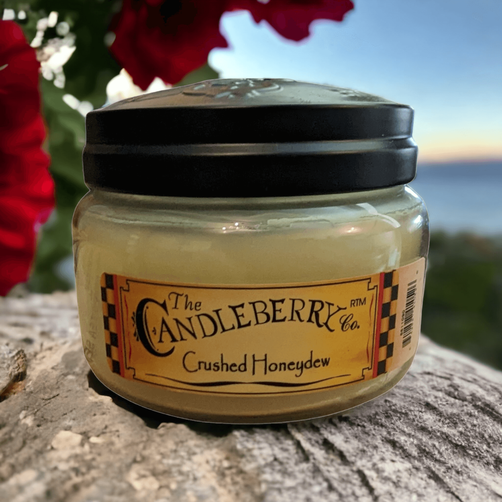 The Candleberry Co - Crushed Honeydew Small Jar Scented Candle Candleberry