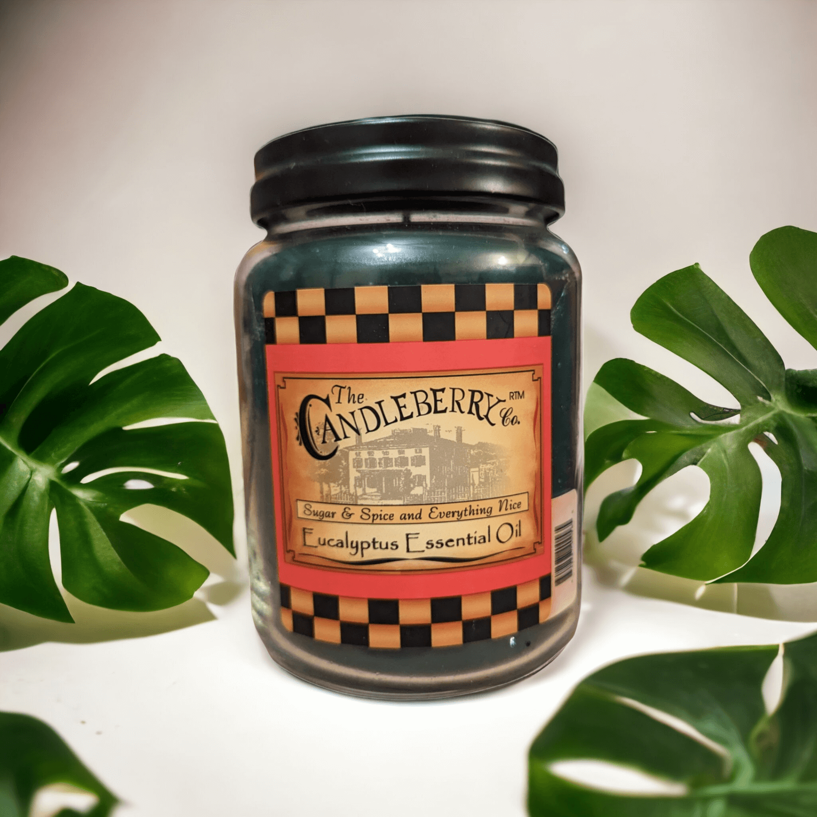 The Candleberry Co - Eucalyptus Essential Oil Large Jar Scented Candle Candleberry