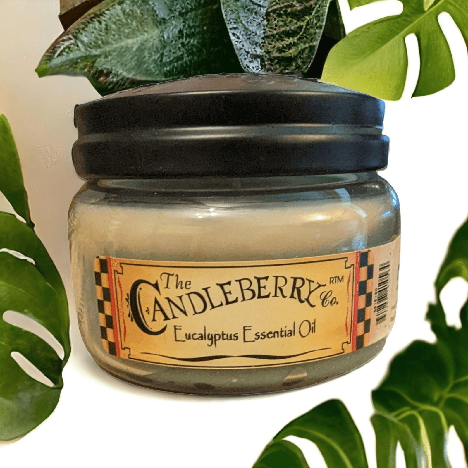 The Candleberry Co - Eucalyptus Essential Oil Small Jar Scented Candle Candleberry