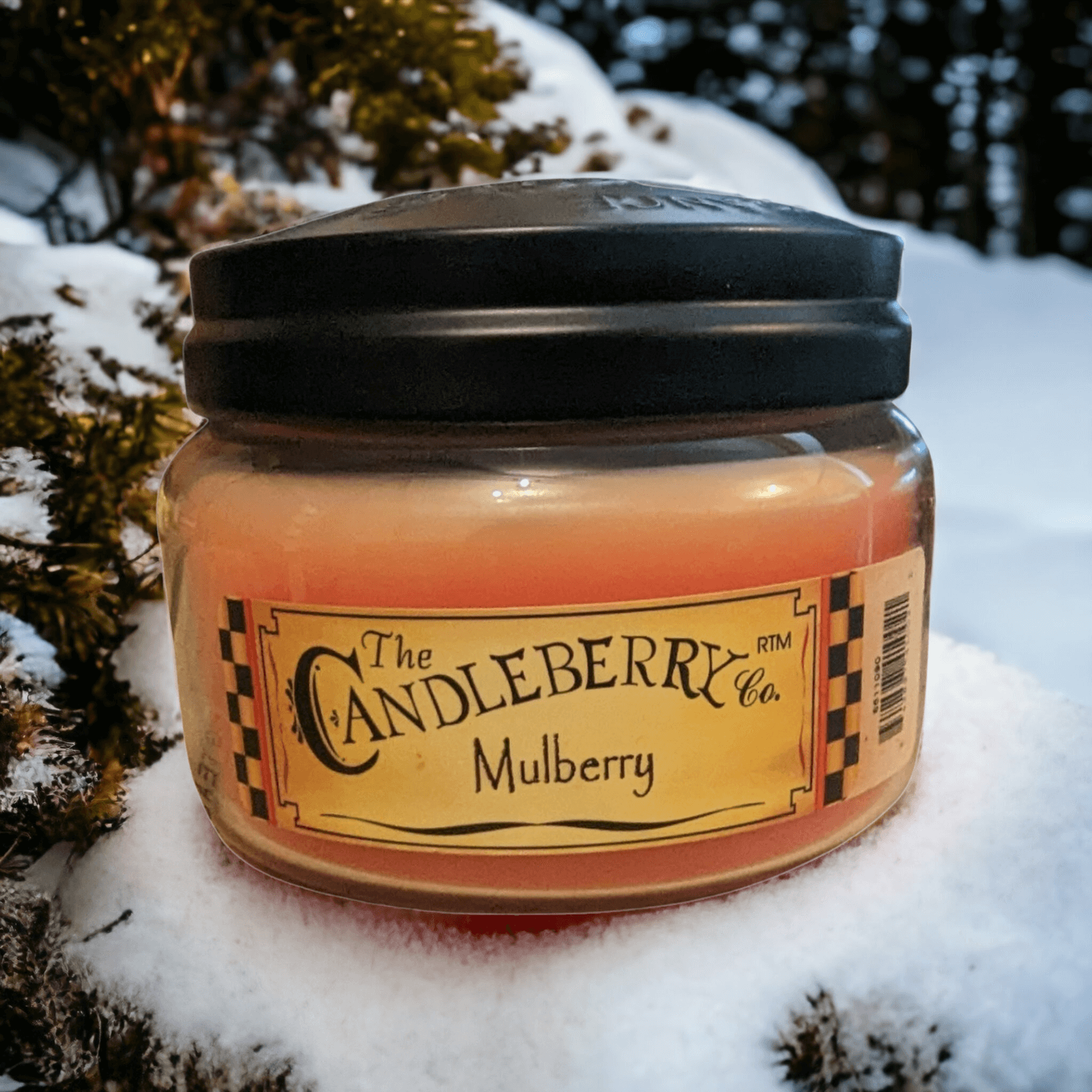 The Candleberry Co - Mulberry Small Jar Scented Candle Candleberry