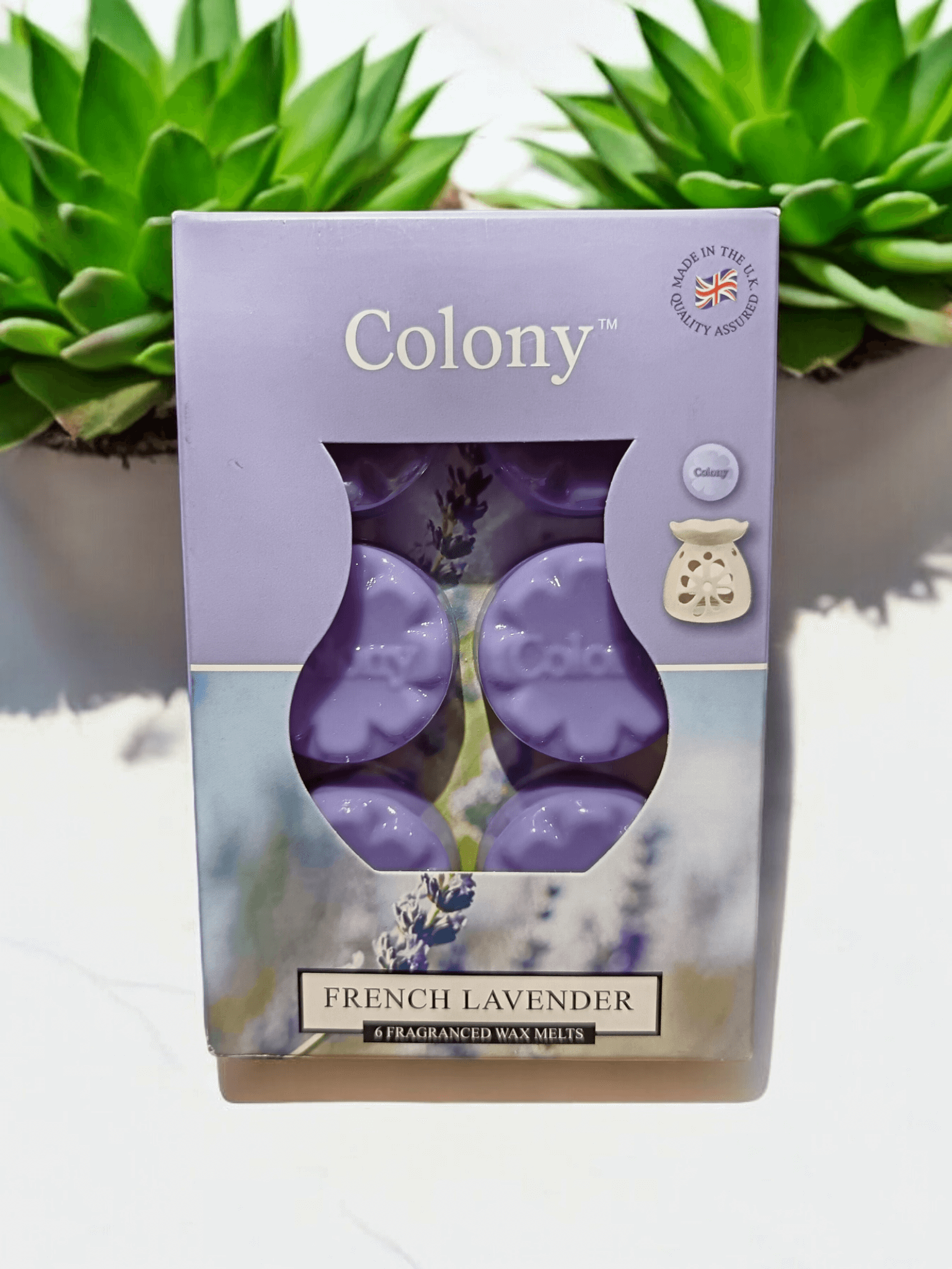 Colony - French Lavender Wax Melts 6 pack Colony