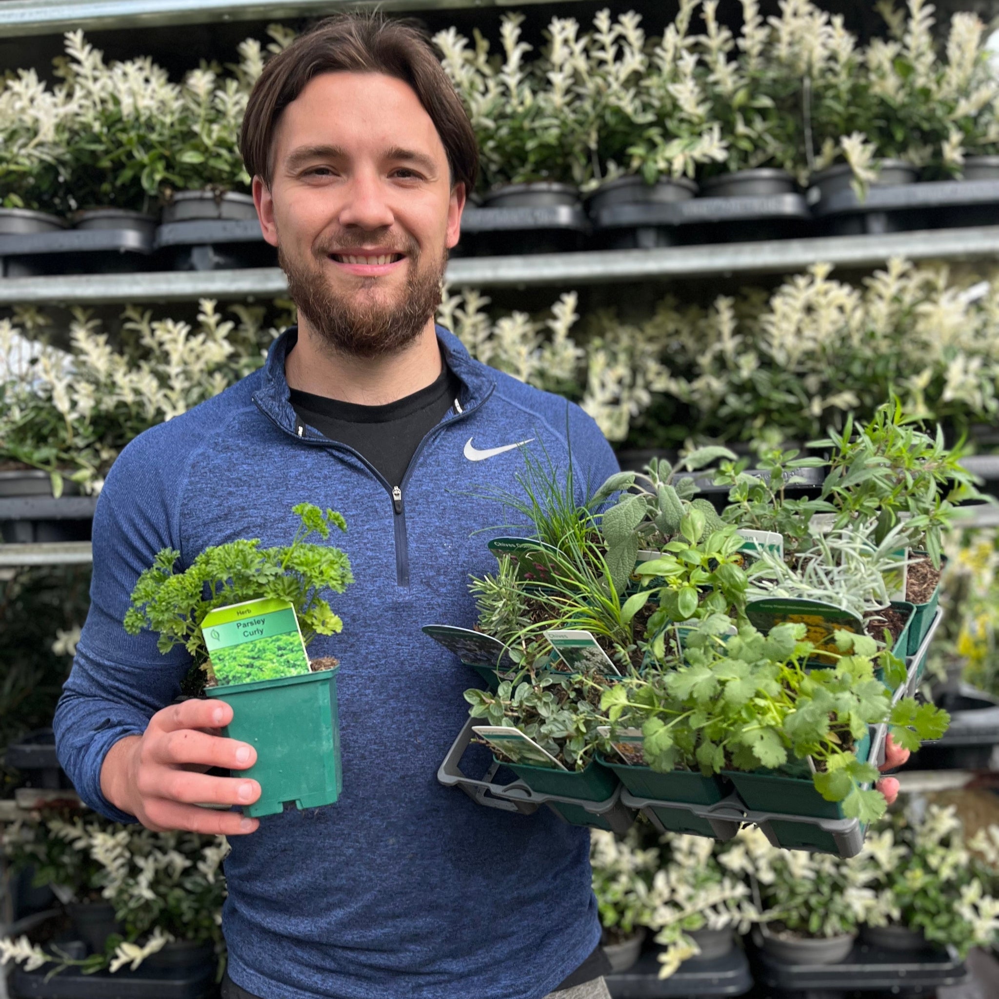 Our selection of Herbs 9cm One Click Plants