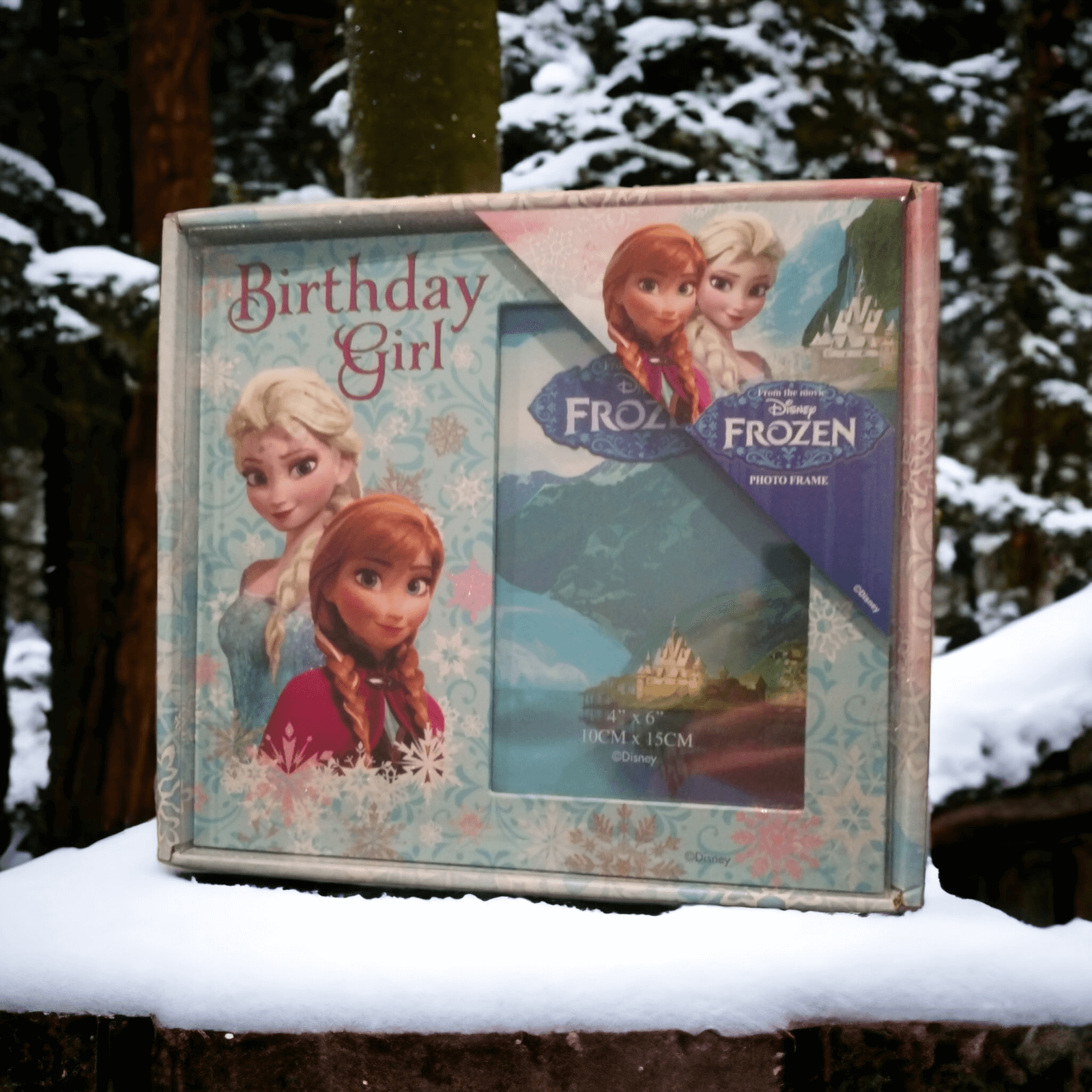 Frozen Photo Frame Birthday Girl Widdop