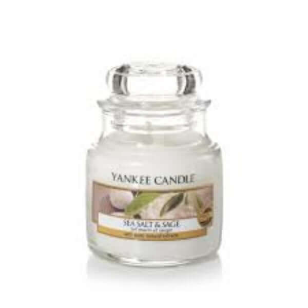 Yankee Candle Sea Salt, and Sage Small Jar Scented Candle Yankee Candle