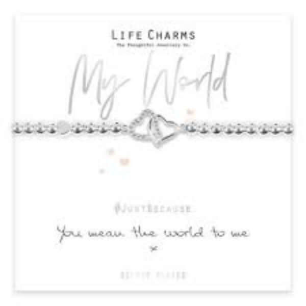 Life Charms Jewellery - You mean the world to me Bracelet The Imagination Shop
