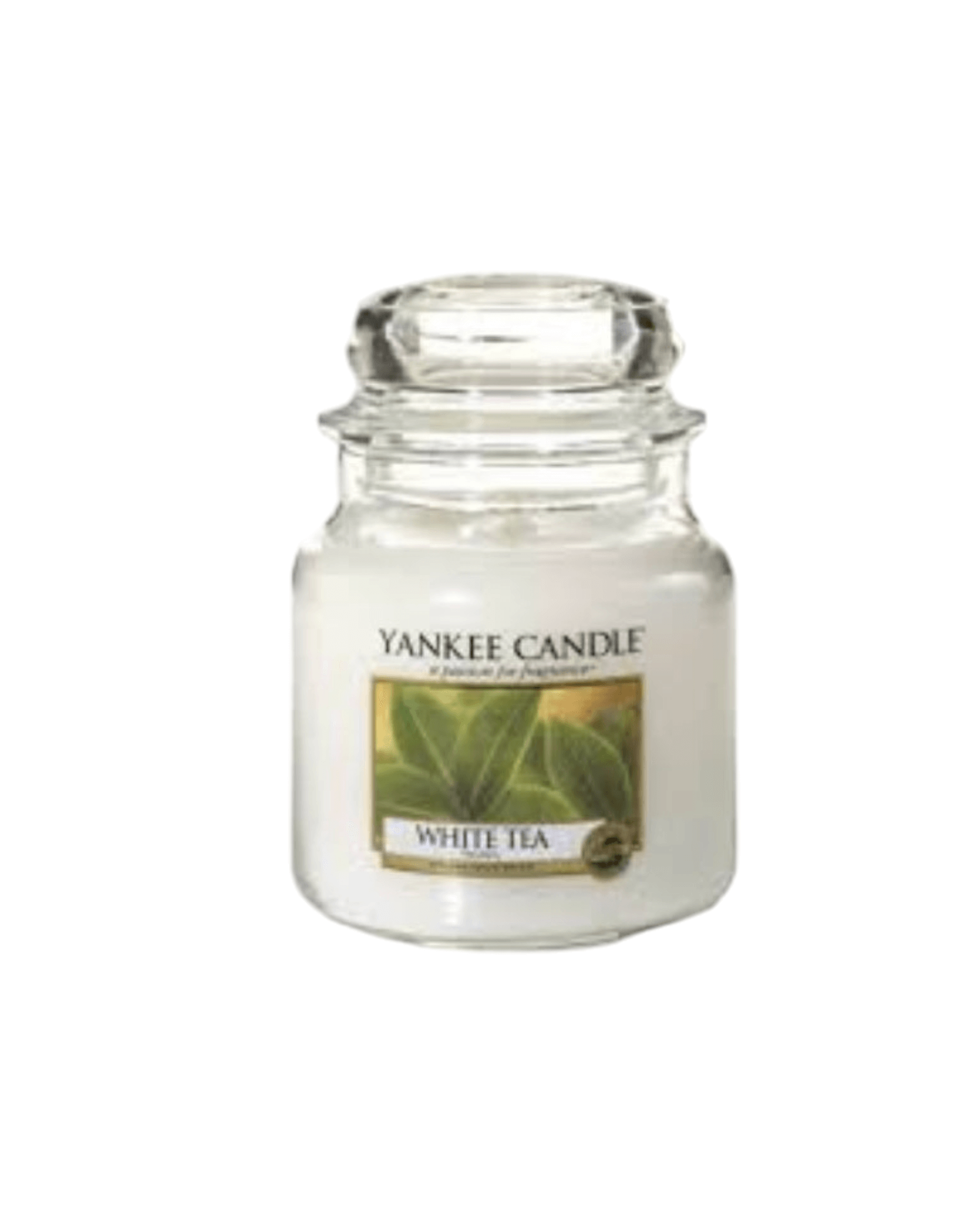 Yankee Candle White Tea Small Jar Scented Candle Yankee Candle