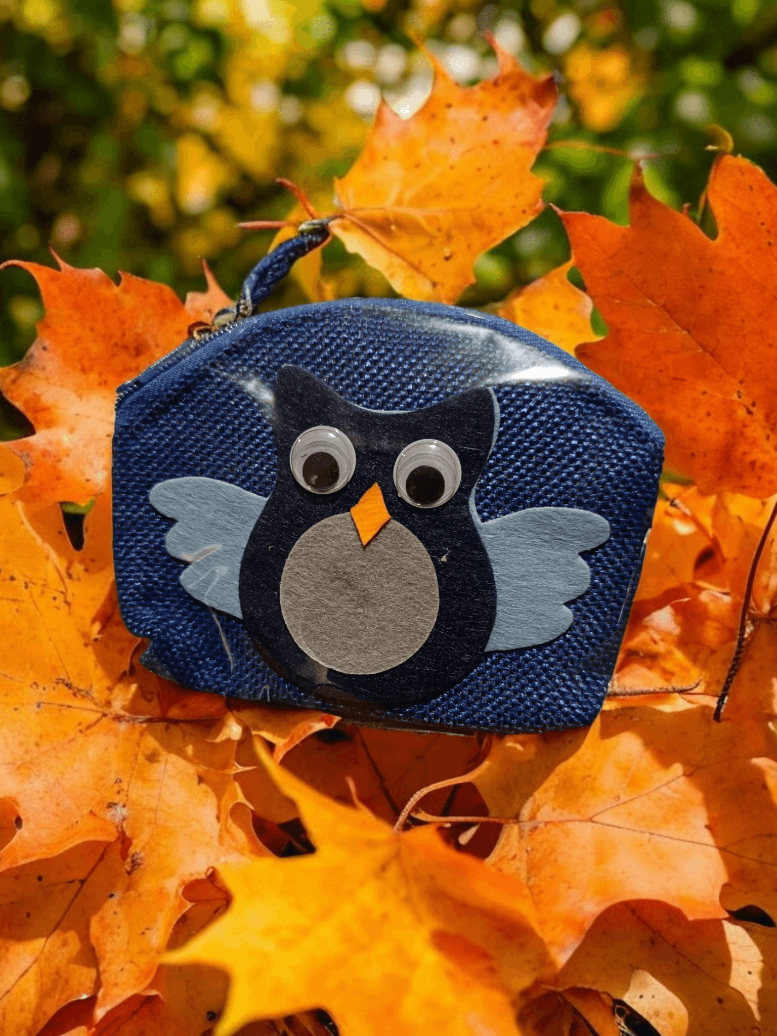 Kids Blue Owl Design Money Purse Equilibrium