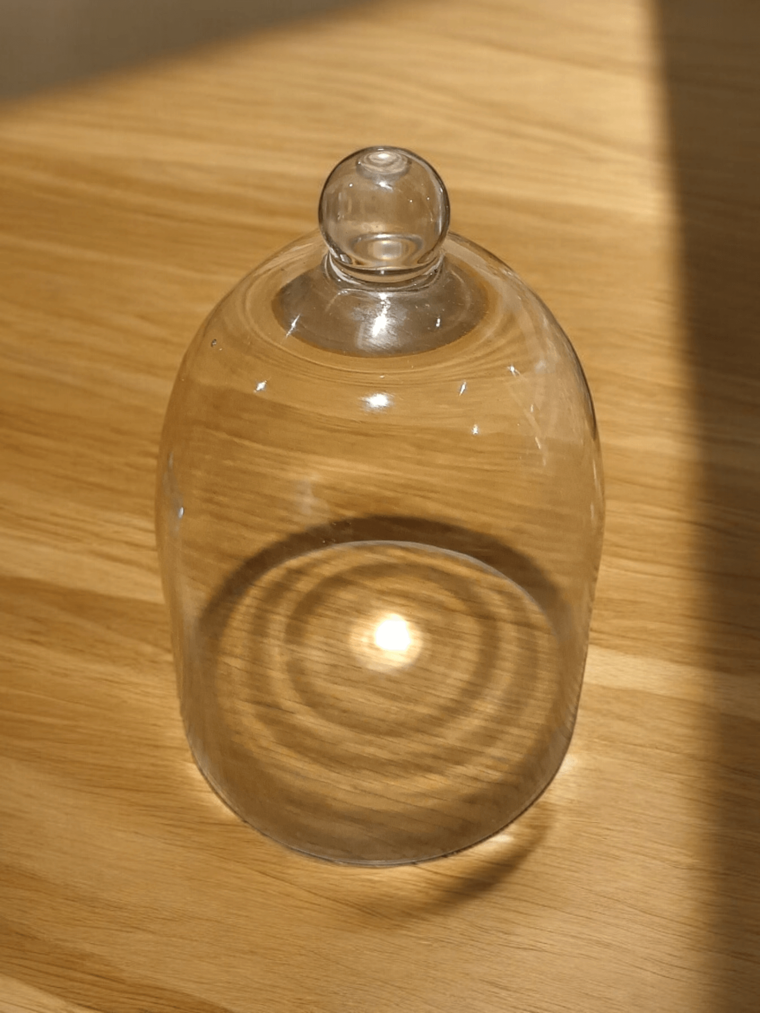 Glass Bell Jar Aroma Accesories