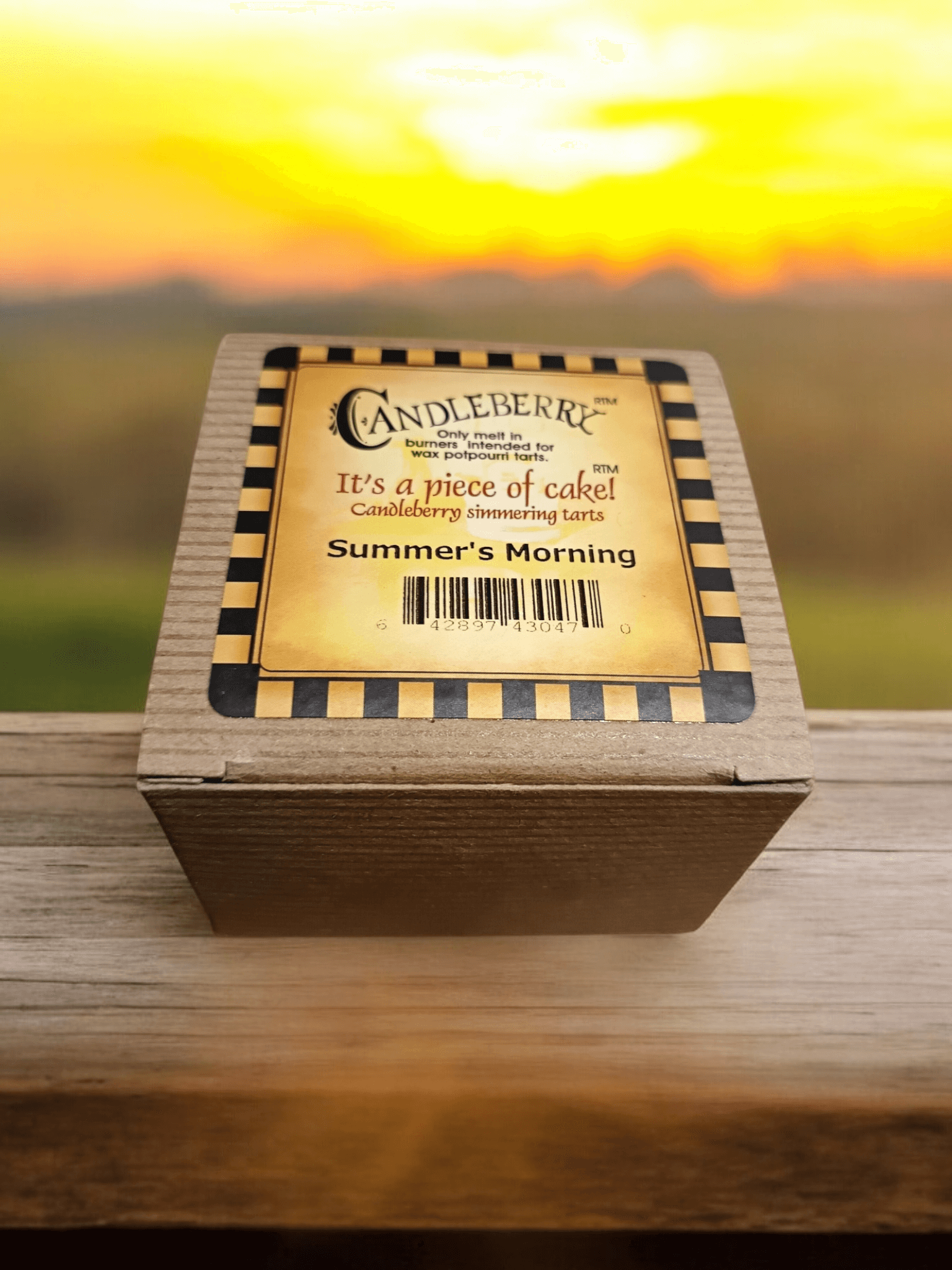 The Candleberry Co - Summers Morning Wax Melts Breaker Pack x 6 Candleberry