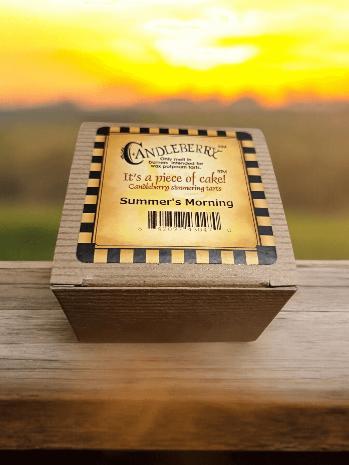 The Candleberry Co - Summers Morning Wax Melts Breaker Pack x 6 Candleberry