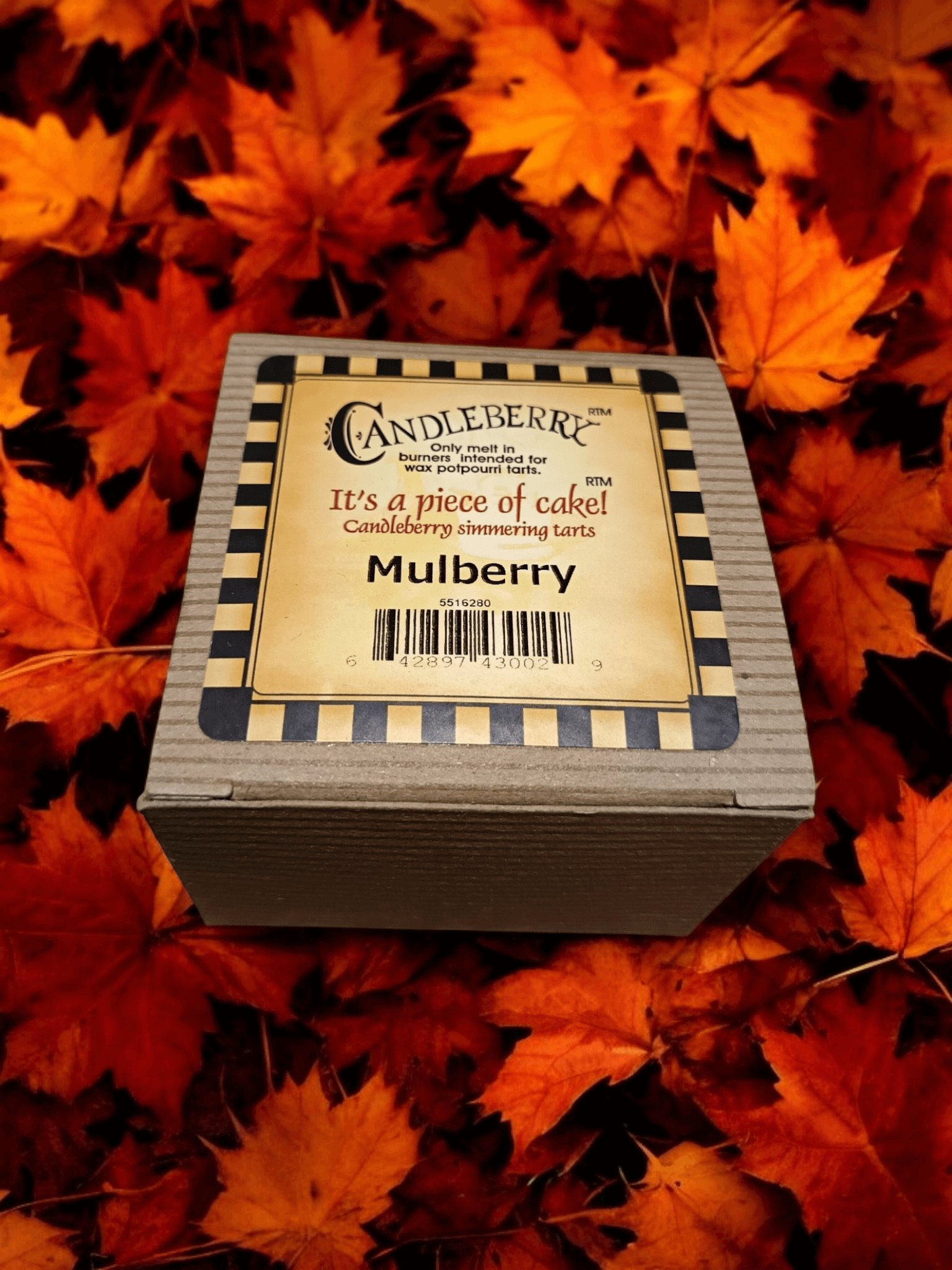 The Candleberry Co - Mulberry Wax Melts Breaker Pack x 6 Candleberry