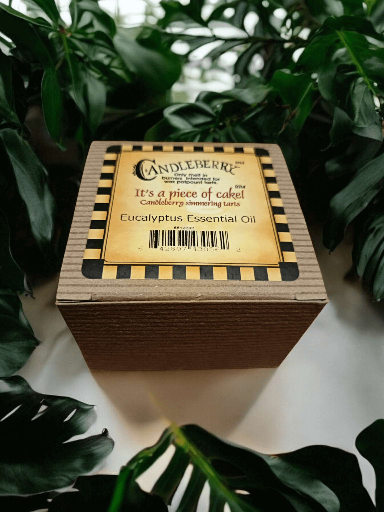 The Candleberry Co Eucalyptus Essential Oils Wax Melts Breaker Pack x 6 Candleberry