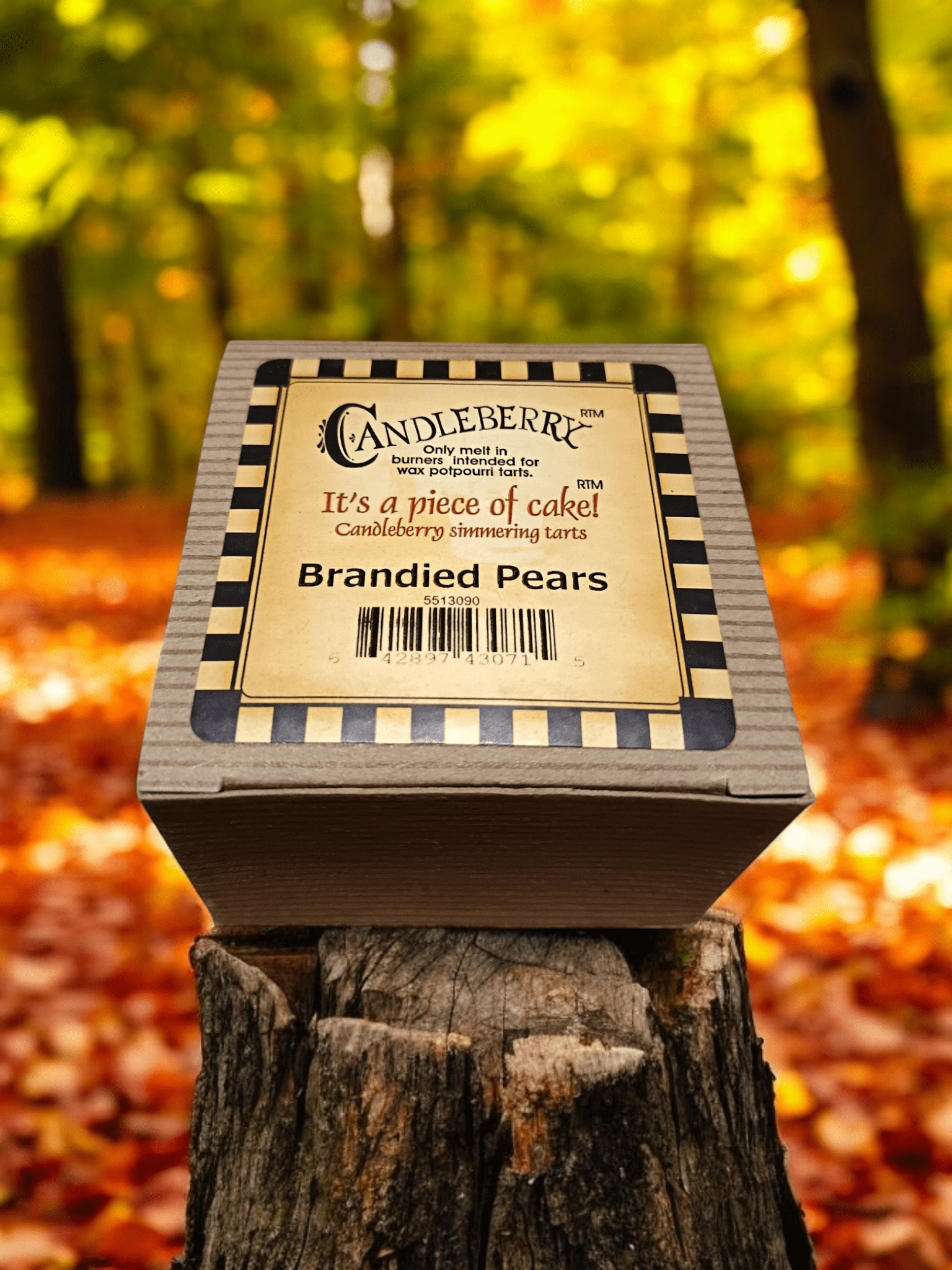 The Candleberry Co Brandied Pears Wax Melts Breaker Pack x 6 Candleberry