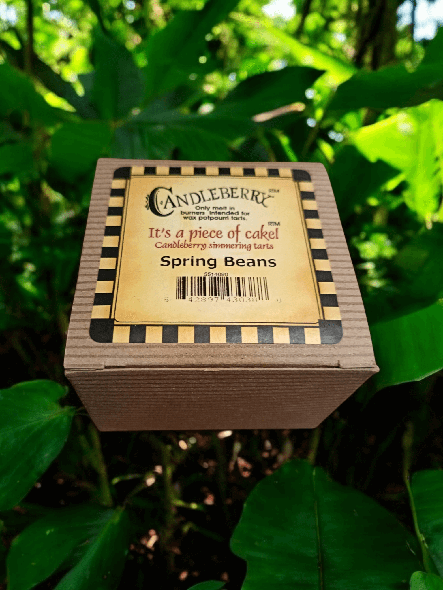 The Candleberry Co - Spring Beans Wax Melts Breaker Pack x 6 Candleberry