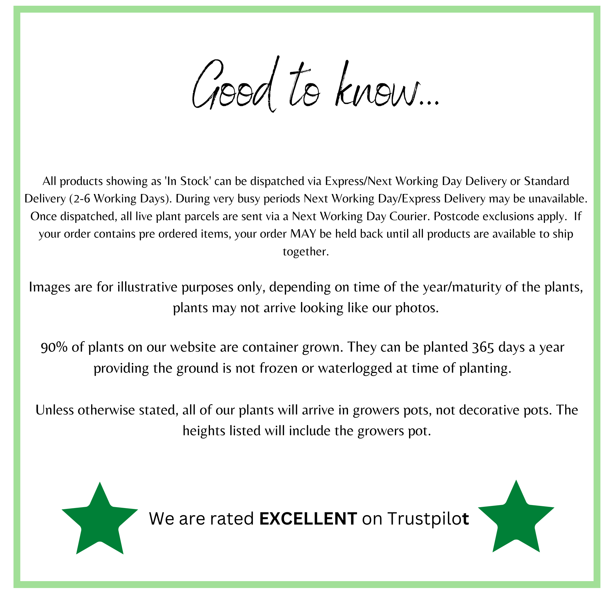 Arthur Bell | Climbing Rose | 4L Potted Rose One Click Plants