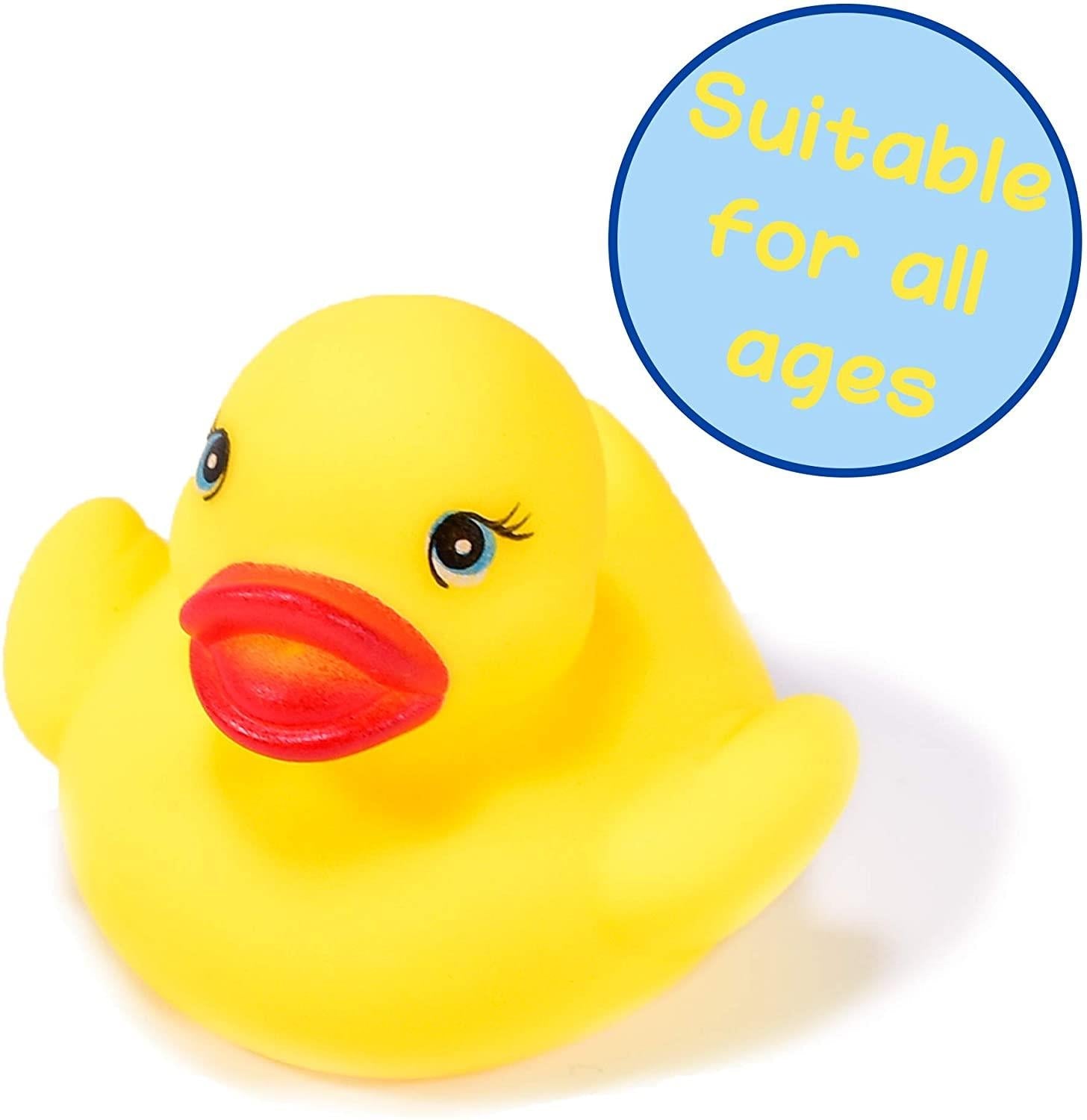 Classic Rubber Duck Family of 4 Baby Bath Toys Curious Minds