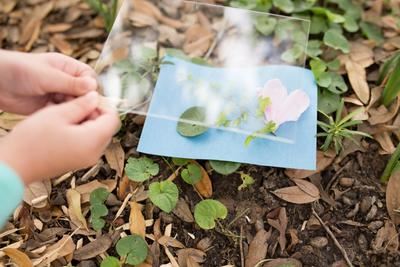 Nature Print Clear Plexiglass 5" x 7" Curious Minds