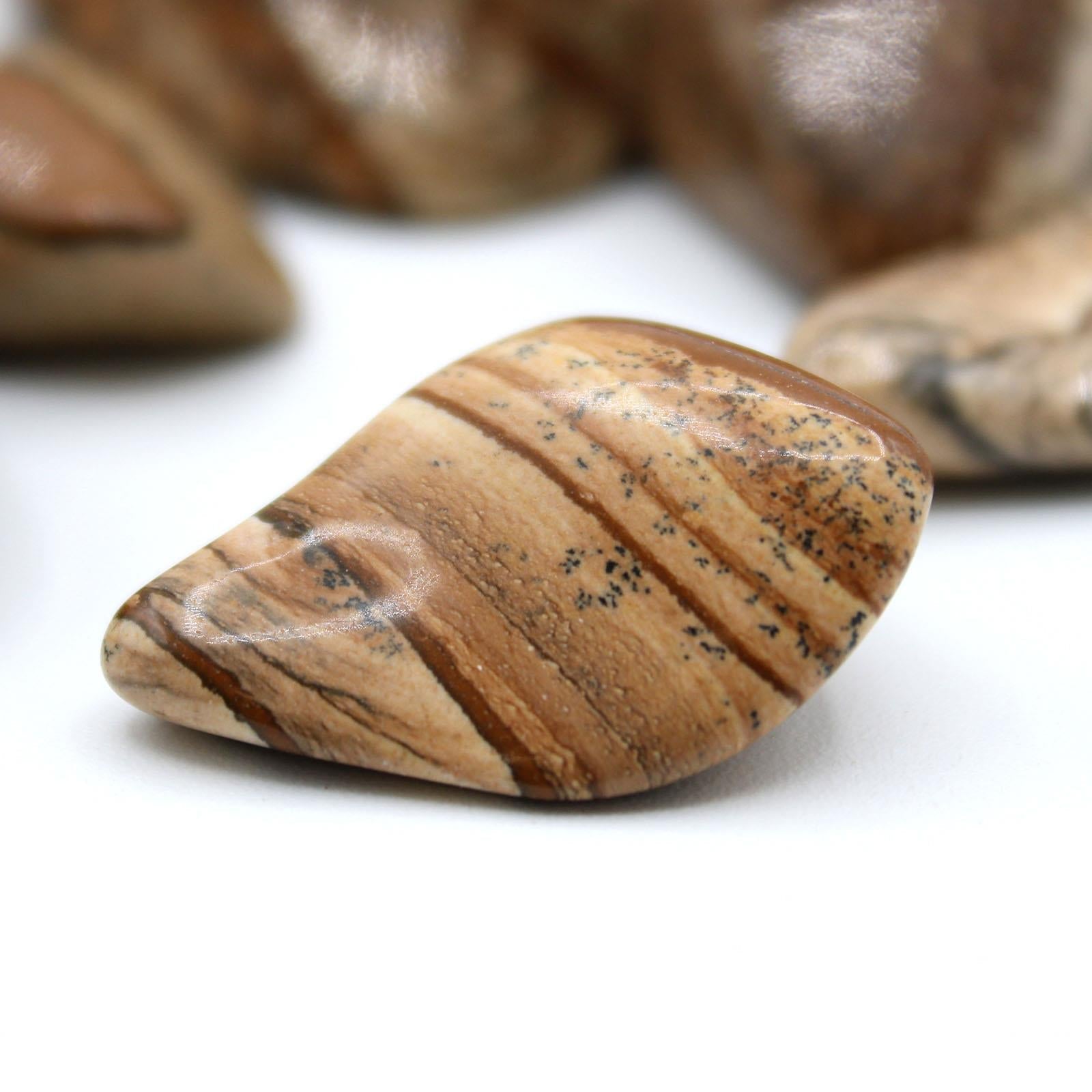 Large Tumble Stones - Kalahari Desert Stone Curious Minds