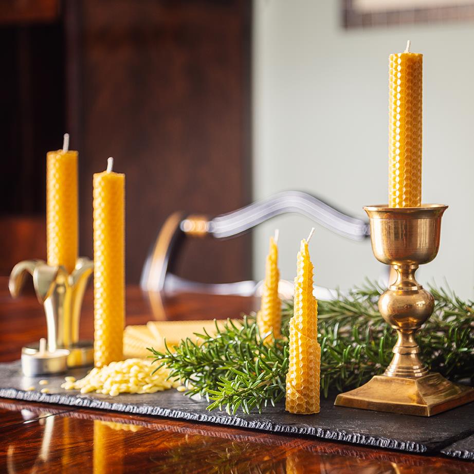 Beeswax Candle Making Kit Curious Minds