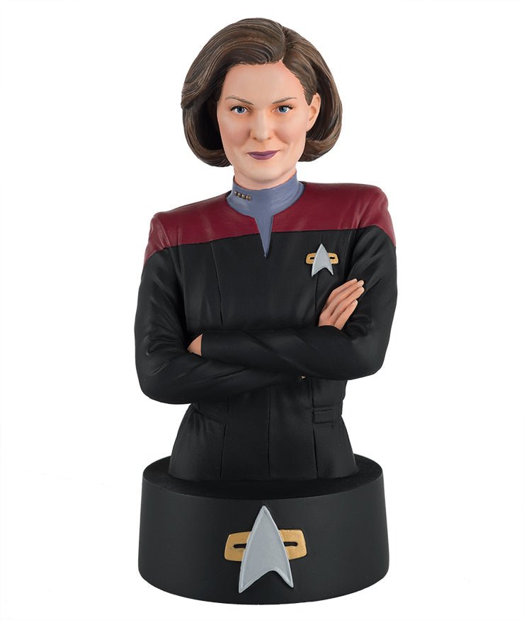 Captain Janeway Model Die Cast Bust Figure (Eaglemoss Star Trek The Official Busts Collection) Real Merch