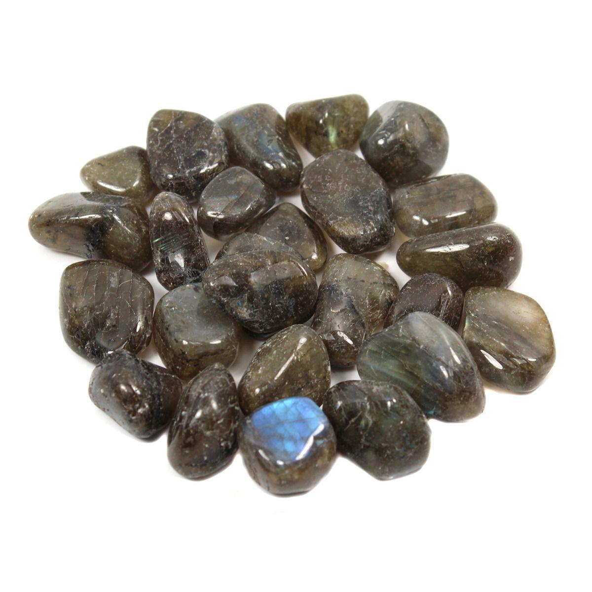 Labradorite Polished Collectible Semi-Precious Gemstone Curious Minds