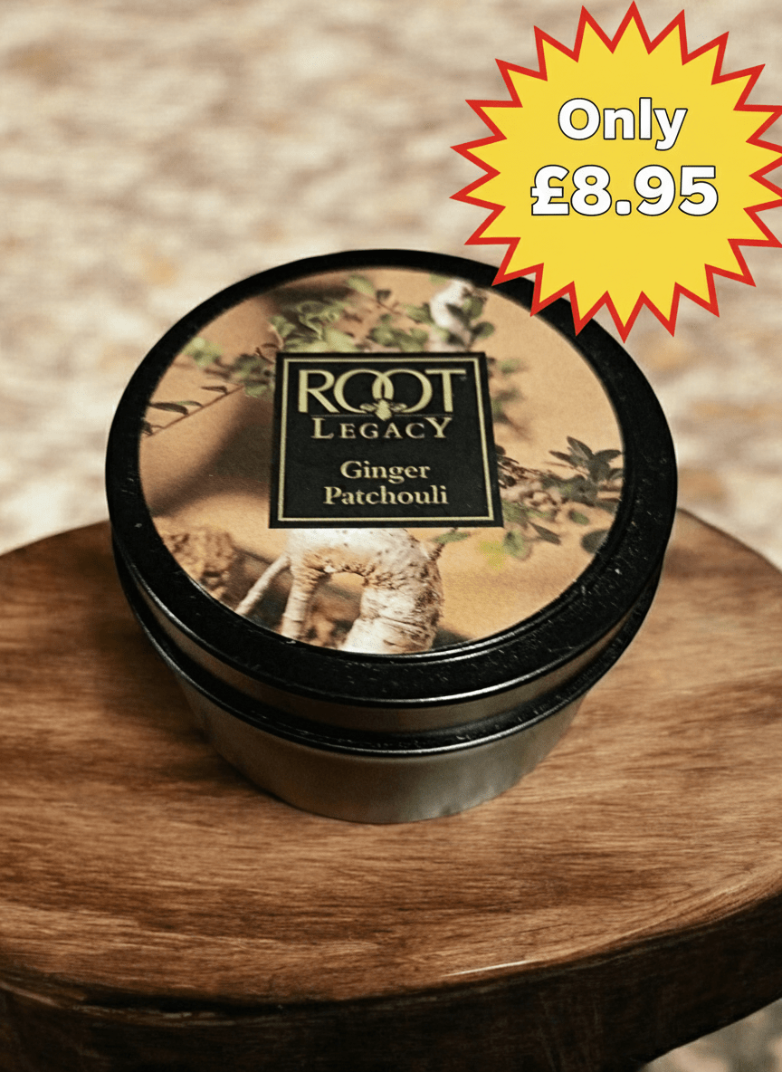 Root Legacy - Ginger Patchouli 4oz Tin Candle Root