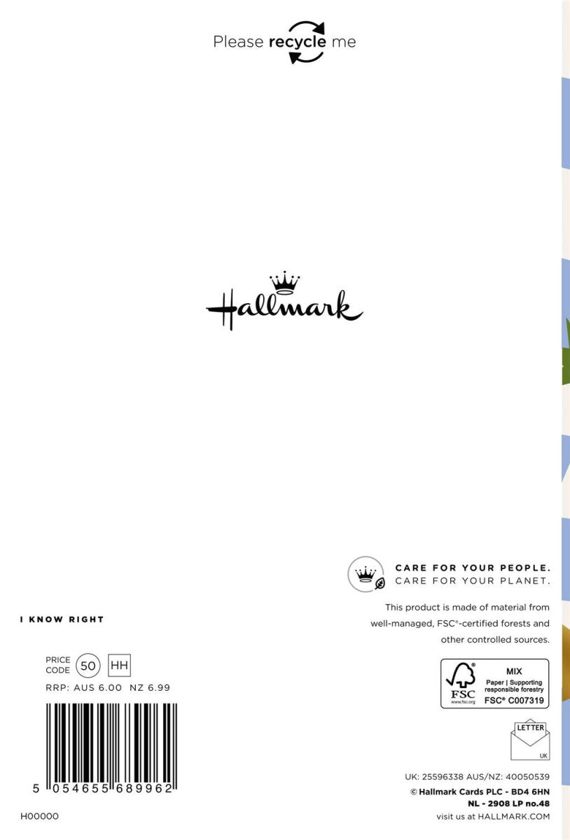 Hallmark - Hip Hip Hoo Yay Birthday Card - Male - The Imagination Shop