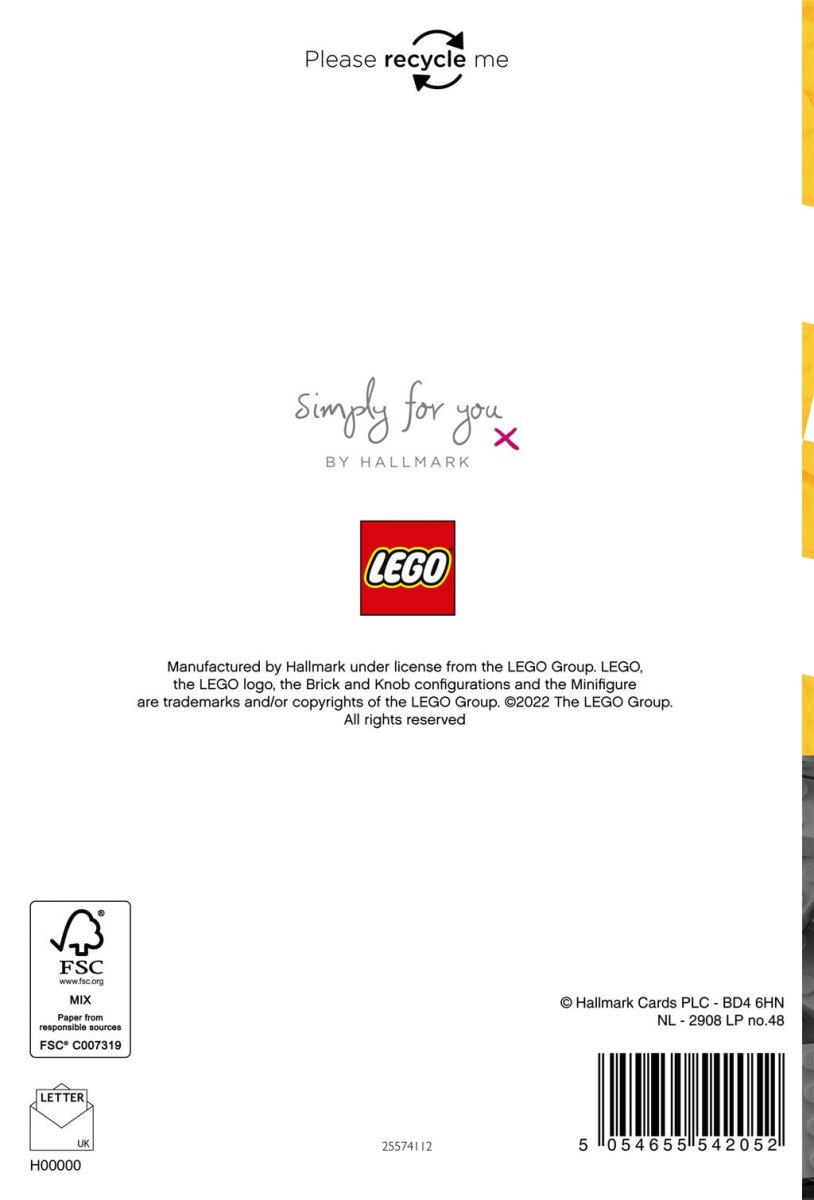 Hallmark - Race into Some Birthday Fun Lego Iconics card - The Imagination Shop